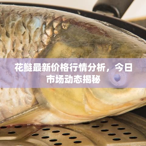 手舞足蹈