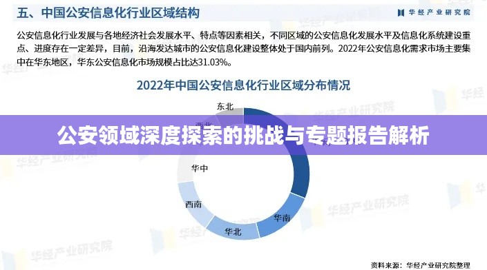 公安領域深度探索的挑戰(zhàn)與專題報告解析