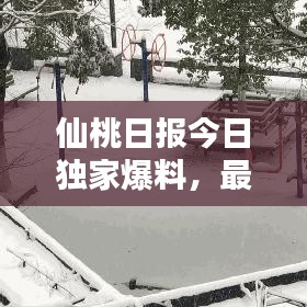 仙桃日報(bào)今日獨(dú)家爆料，最新消息一網(wǎng)打盡！