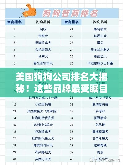 美國狗狗公司排名大揭秘！這些品牌最受矚目！