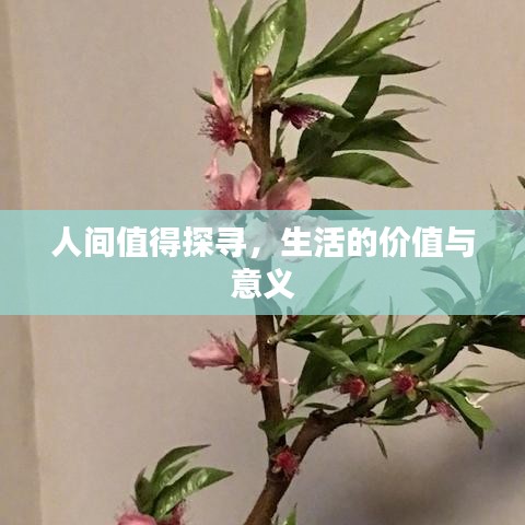 秀色可餐