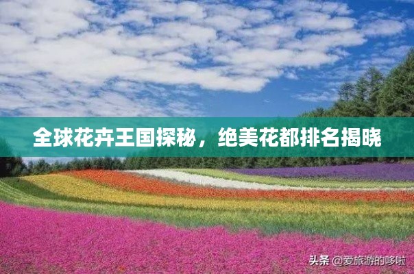 全球花卉王國(guó)探秘，絕美花都排名揭曉