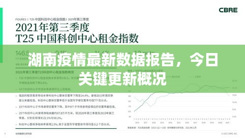 湖南疫情最新數(shù)據(jù)報告，今日關(guān)鍵更新概況