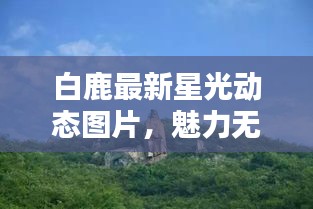 白鹿最新星光動態(tài)圖片，魅力無限，光彩奪目
