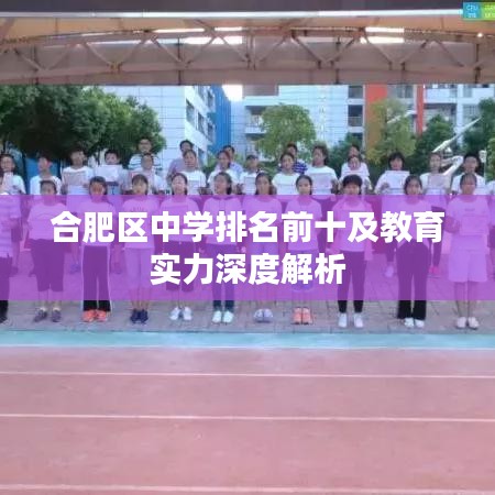 合肥區(qū)中學(xué)排名前十及教育實力深度解析
