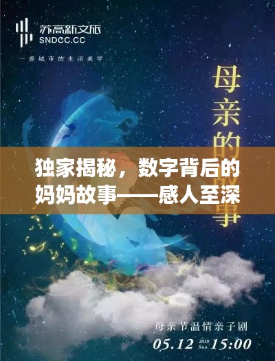 獨家揭秘，數(shù)字背后的媽媽故事——感人至深的母愛之旅