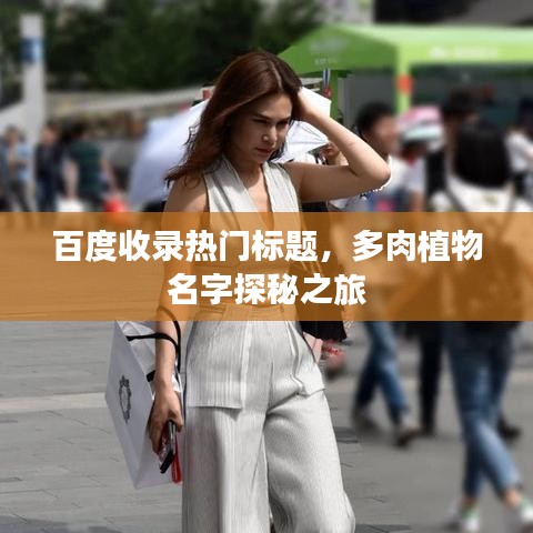 百度收錄熱門標(biāo)題，多肉植物名字探秘之旅