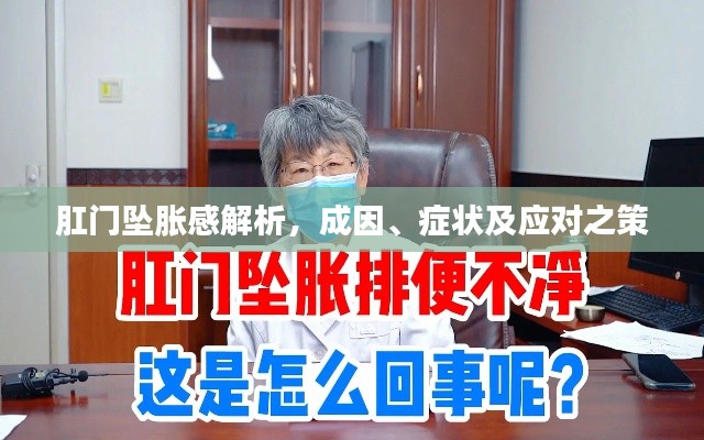 肛門(mén)墜脹感解析，成因、癥狀及應(yīng)對(duì)之策