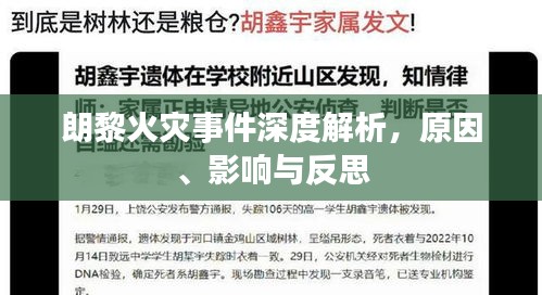 朗黎火災(zāi)事件深度解析，原因、影響與反思