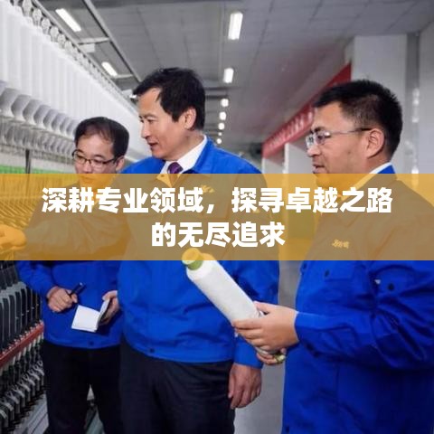 深耕專業(yè)領(lǐng)域，探尋卓越之路的無(wú)盡追求
