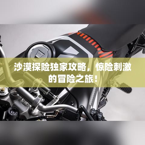 沙漠探險獨家攻略，驚險刺激的冒險之旅！