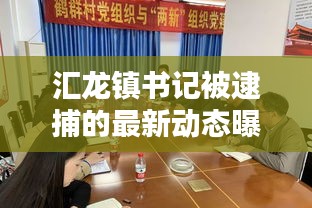 匯龍鎮(zhèn)書記被逮捕的最新動態(tài)曝光