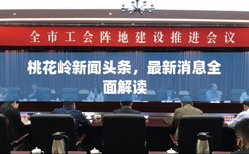 桃花嶺新聞?lì)^條，最新消息全面解讀
