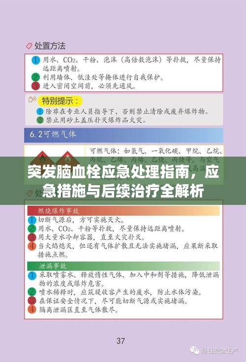 突發(fā)腦血栓應(yīng)急處理指南，應(yīng)急措施與后續(xù)治療全解析
