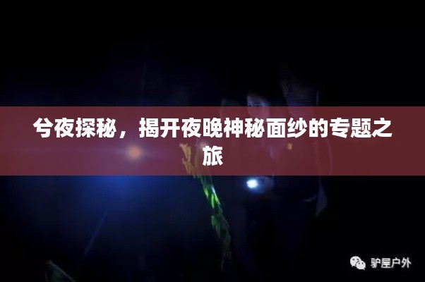 兮夜探秘，揭開夜晚神秘面紗的專題之旅
