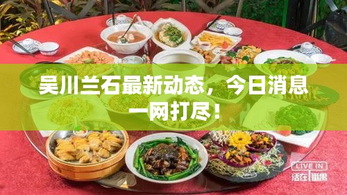 吳川蘭石最新動態(tài)，今日消息一網(wǎng)打盡！