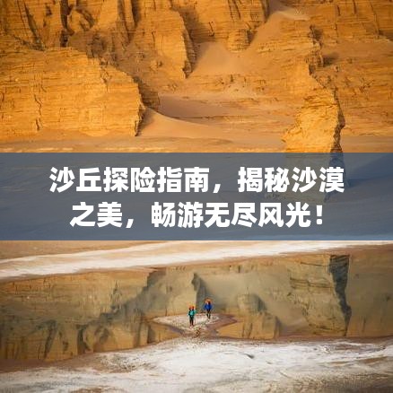 沙丘探險指南，揭秘沙漠之美，暢游無盡風(fēng)光！