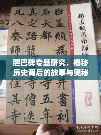 膽巴碑專題研究，揭秘歷史背后的故事與奧秘