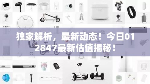 獨家解析，最新動態(tài)！今日012847最新估值揭秘！