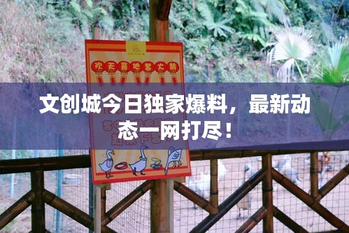 文創(chuàng)城今日獨家爆料，最新動態(tài)一網(wǎng)打盡！