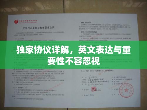 獨家協議詳解，英文表達與重要性不容忽視