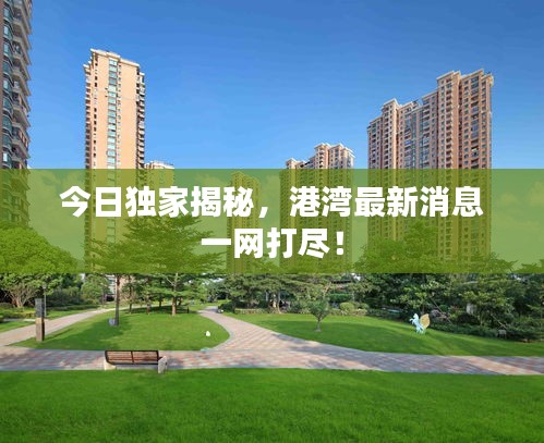 今日獨(dú)家揭秘，港灣最新消息一網(wǎng)打盡！