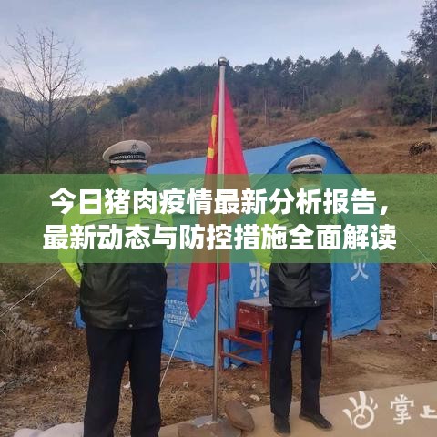 今日豬肉疫情最新分析報(bào)告，最新動(dòng)態(tài)與防控措施全面解讀