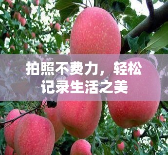 2025年5月15日 第2頁