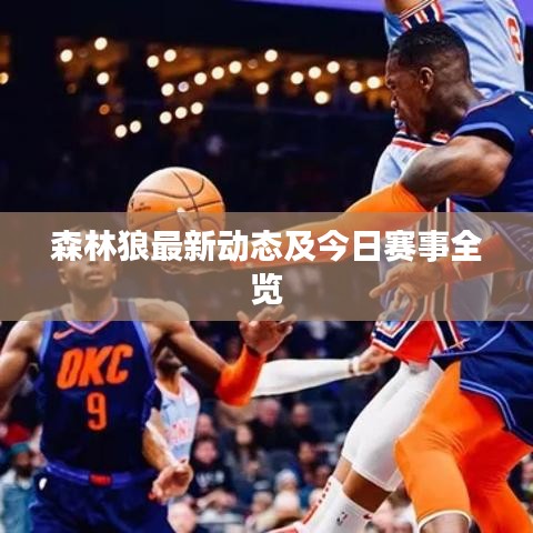 森林狼最新動(dòng)態(tài)及今日賽事全覽