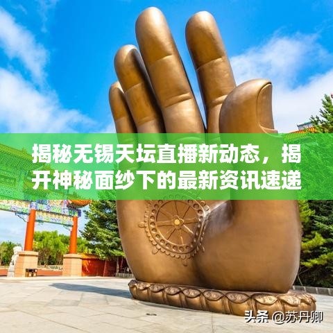 揭秘?zé)o錫天壇直播新動態(tài)，揭開神秘面紗下的最新資訊速遞