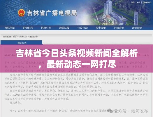 吉林省今日頭條視頻新聞全解析，最新動(dòng)態(tài)一網(wǎng)打盡