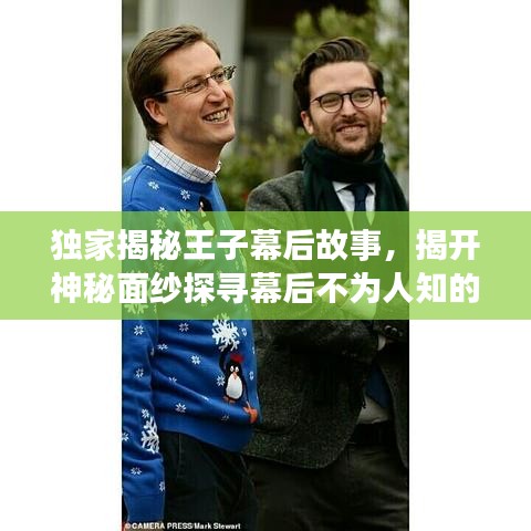 獨(dú)家揭秘王子幕后故事，揭開神秘面紗探尋幕后不為人知的秘密
