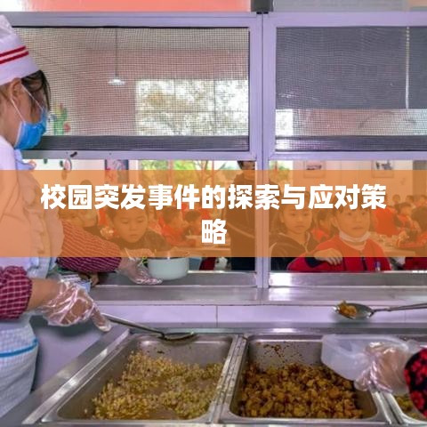 校園突發(fā)事件的探索與應對策略