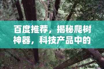 百度推薦，揭秘爬樹(shù)神器，科技產(chǎn)品中的神奇探索