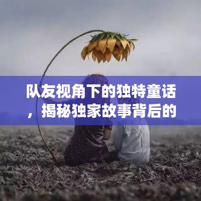 隊(duì)友視角下的獨(dú)特童話，揭秘獨(dú)家故事背后的真實(shí)情感世界