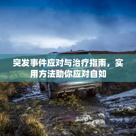 突發(fā)事件應對與治療指南，實用方法助你應對自如