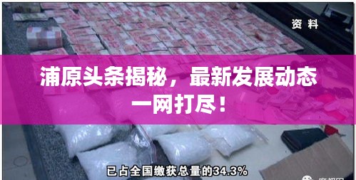 浦原頭條揭秘，最新發(fā)展動態(tài)一網(wǎng)打盡！