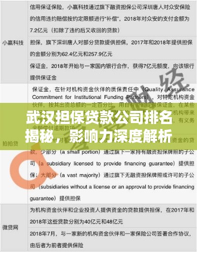 武漢擔(dān)保貸款公司排名揭秘，影響力深度解析