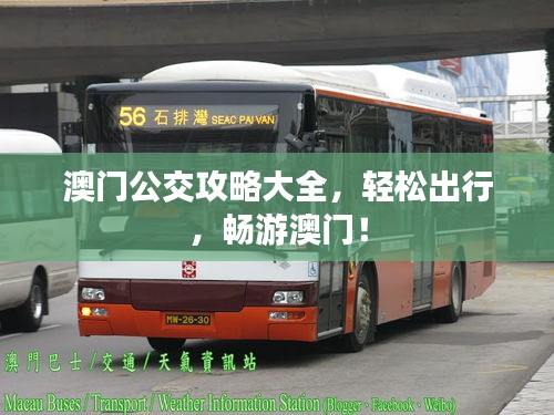 澳門公交攻略大全，輕松出行，暢游澳門！