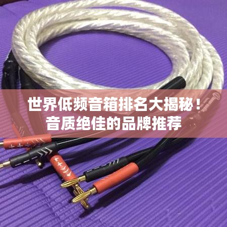 世界低頻音箱排名大揭秘！音質(zhì)絕佳的品牌推薦