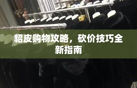 貂皮購物攻略，砍價(jià)技巧全新指南