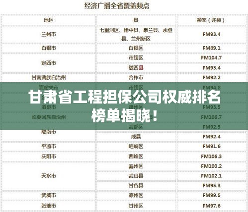 甘肅省工程擔(dān)保公司權(quán)威排名榜單揭曉！
