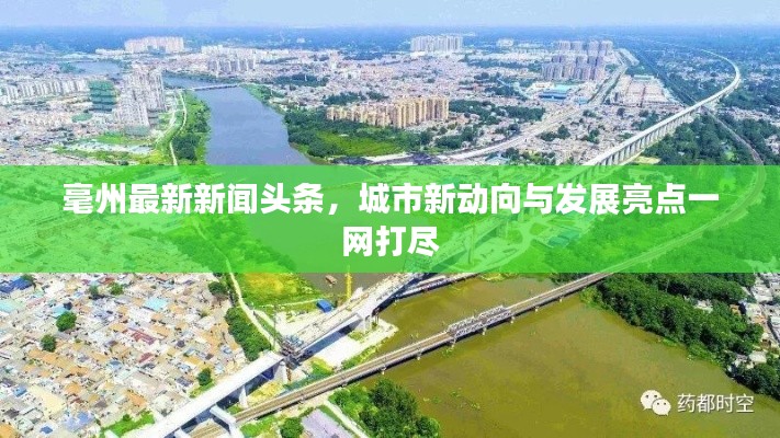 毫州最新新聞?lì)^條，城市新動(dòng)向與發(fā)展亮點(diǎn)一網(wǎng)打盡