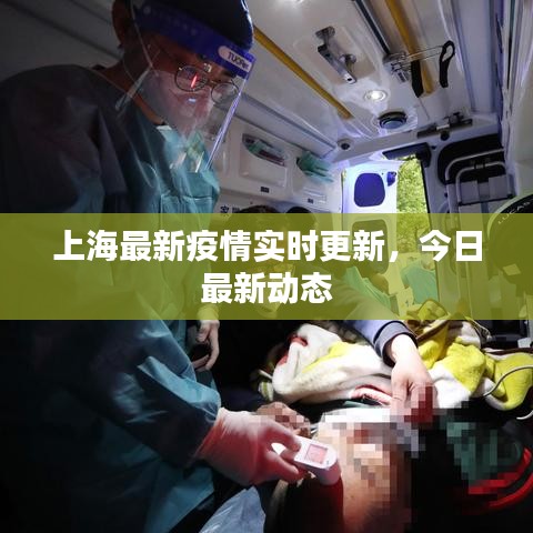 上海最新疫情實時更新，今日最新動態(tài)