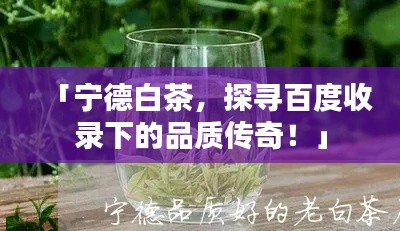 「寧德白茶，探尋百度收錄下的品質(zhì)傳奇！」