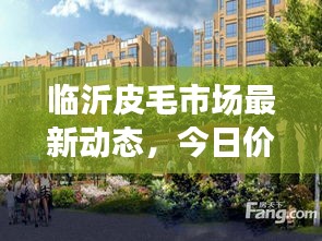 臨沂皮毛市場最新動態(tài)，今日價格走勢、影響因素一網(wǎng)打盡！