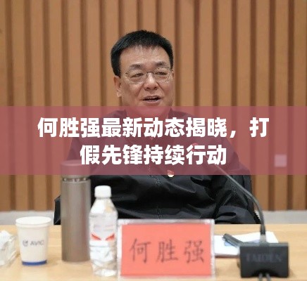 何勝?gòu)?qiáng)最新動(dòng)態(tài)揭曉，打假先鋒持續(xù)行動(dòng)