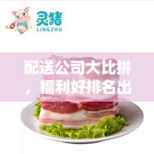 配送公司大比拼，福利好排名出爐！