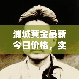 浦城黃金最新今日價格，實時更新查詢