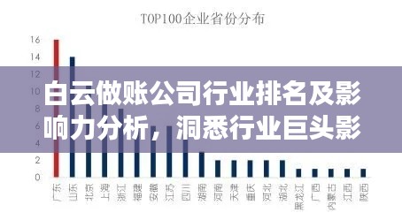 白云做賬公司行業(yè)排名及影響力分析，洞悉行業(yè)巨頭影響力